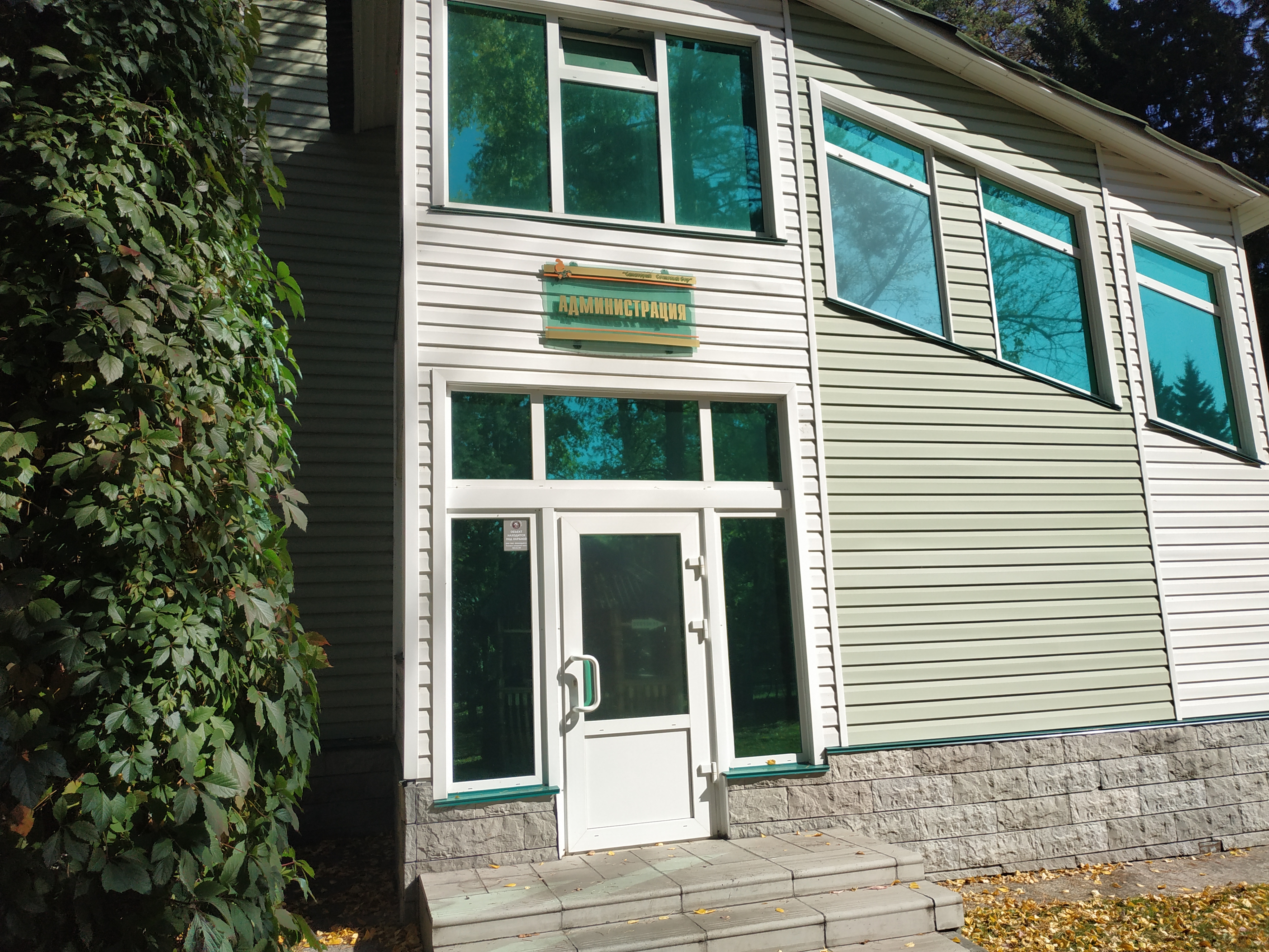 Фото Сосновый бор