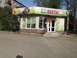 Flower Delivery (Dyakonova Street, 14) ، محل زهور