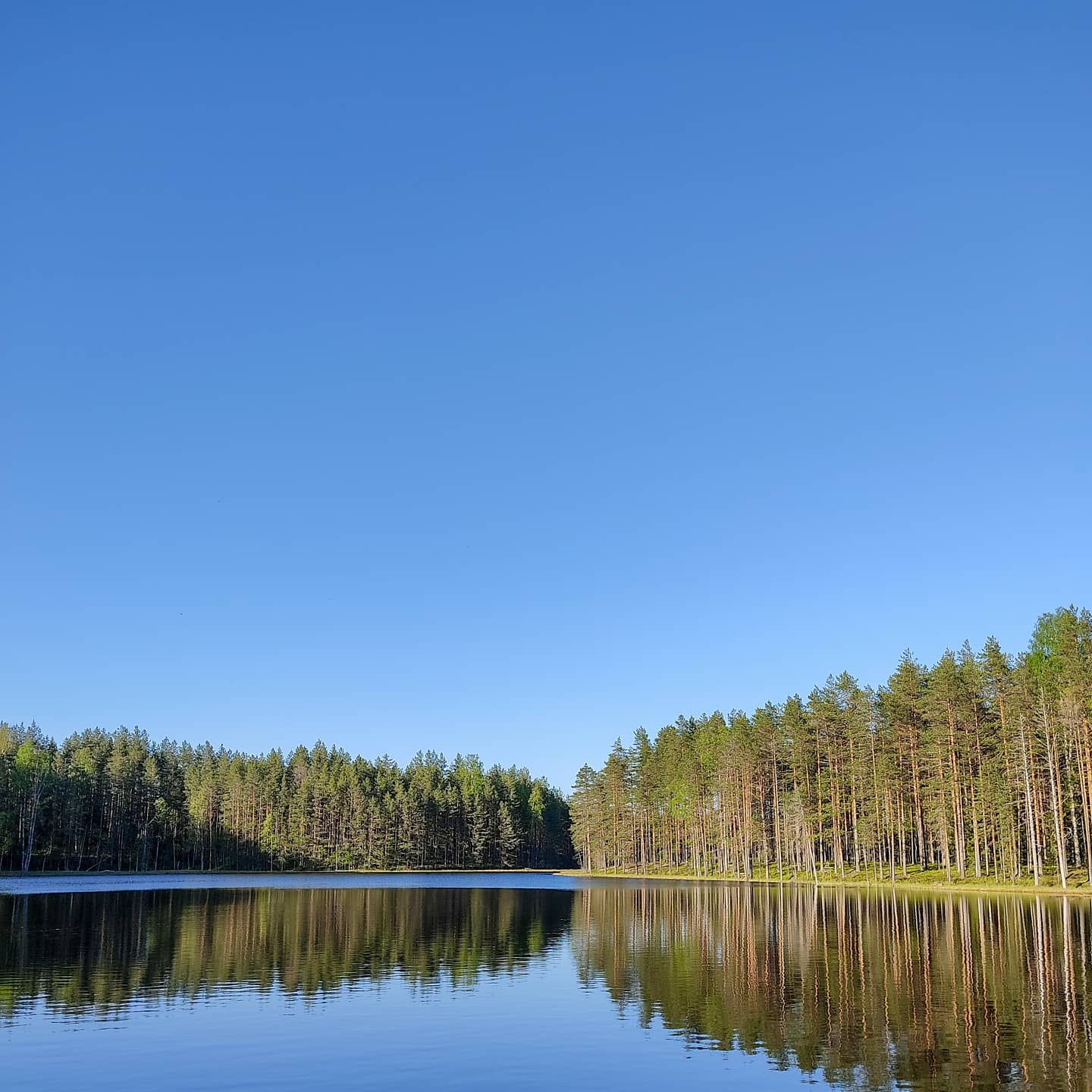 Фото Умосту