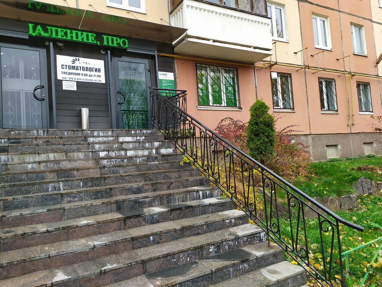 Медицинский дом александровская ул 80а всеволожск фото