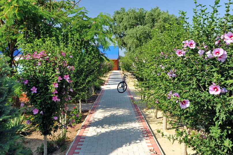 Фото Чудная Долина