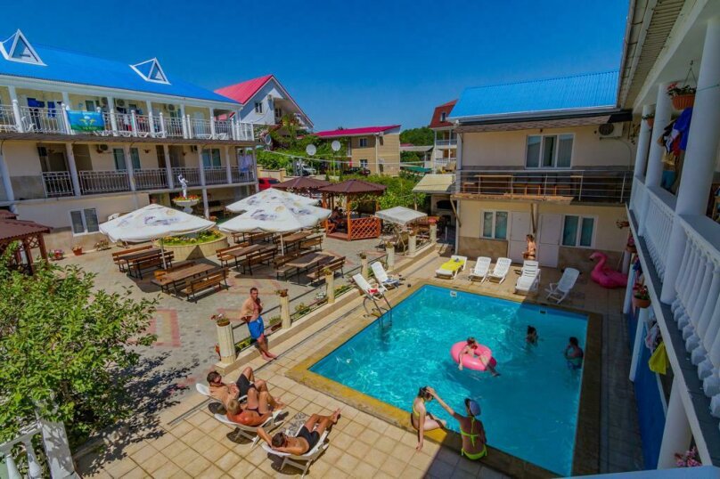 Фото Дельфин