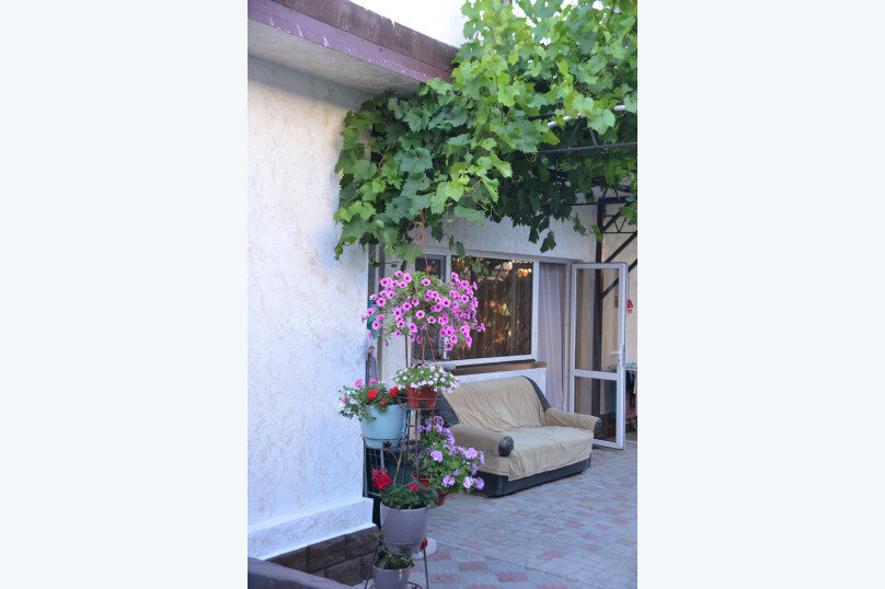 Фото Абрикосовая