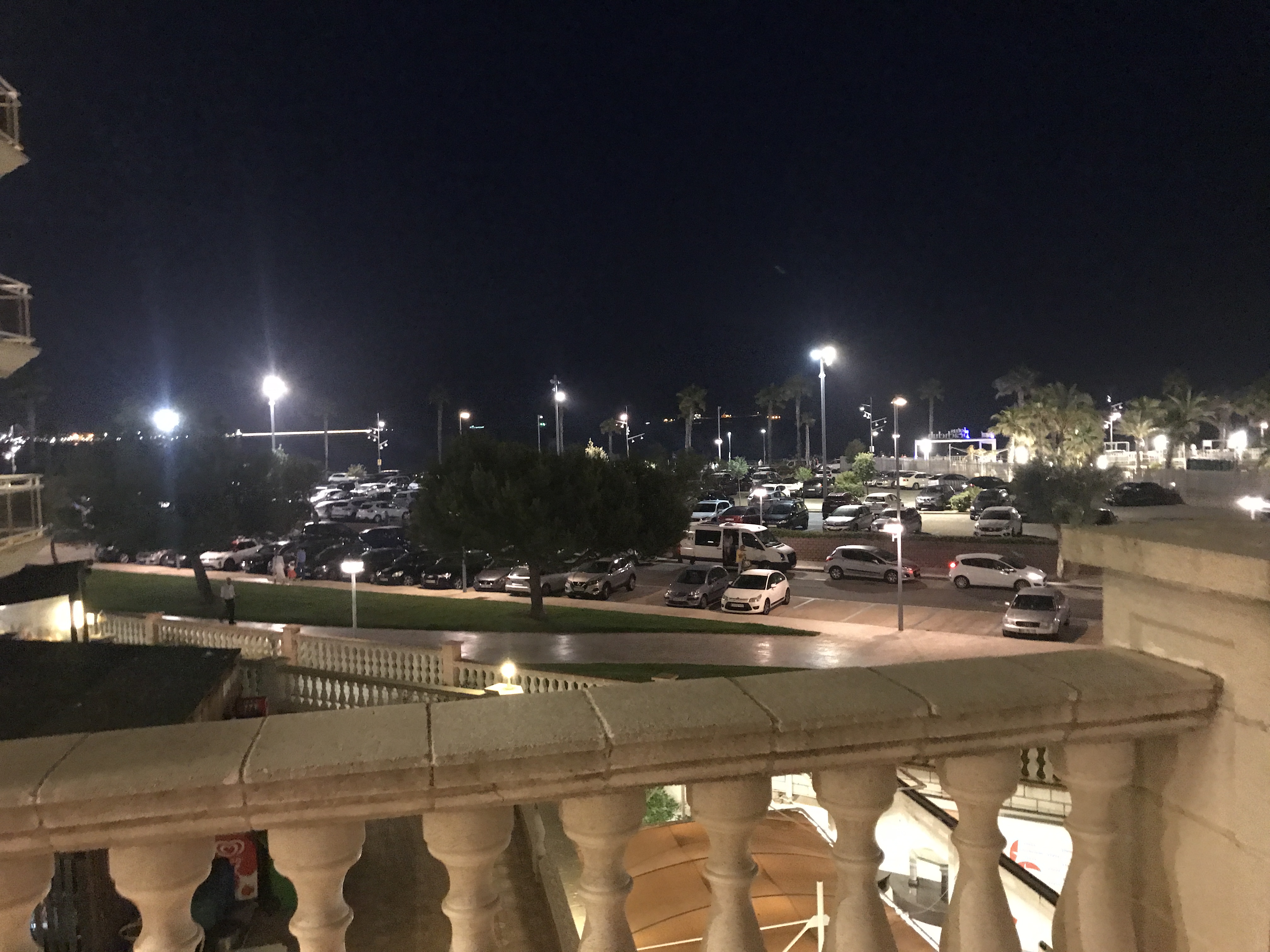 Фото Hotel Palas Pineda