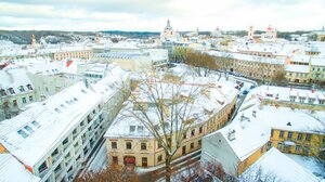 Гостиница Dysnos Avenue Apartaments