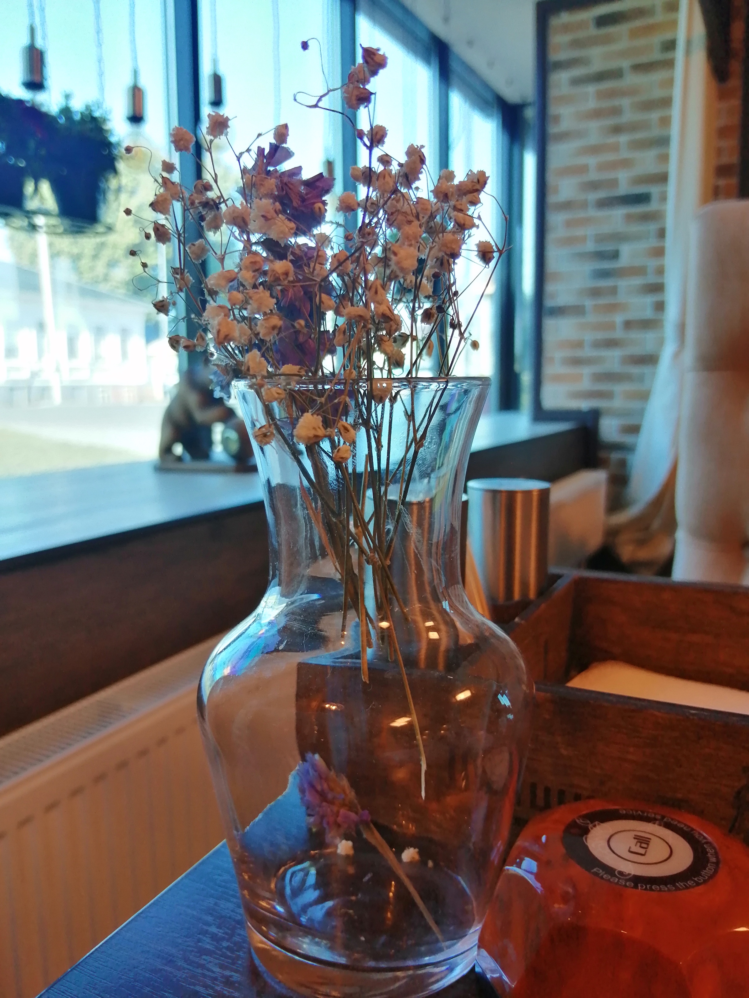 Фото ШишкинЪ