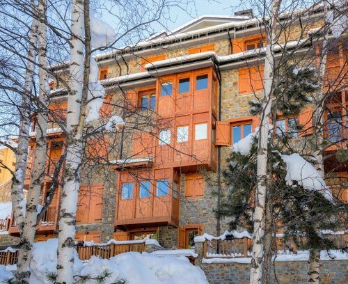 Гостиница La Pleta de Soldeu Apartments