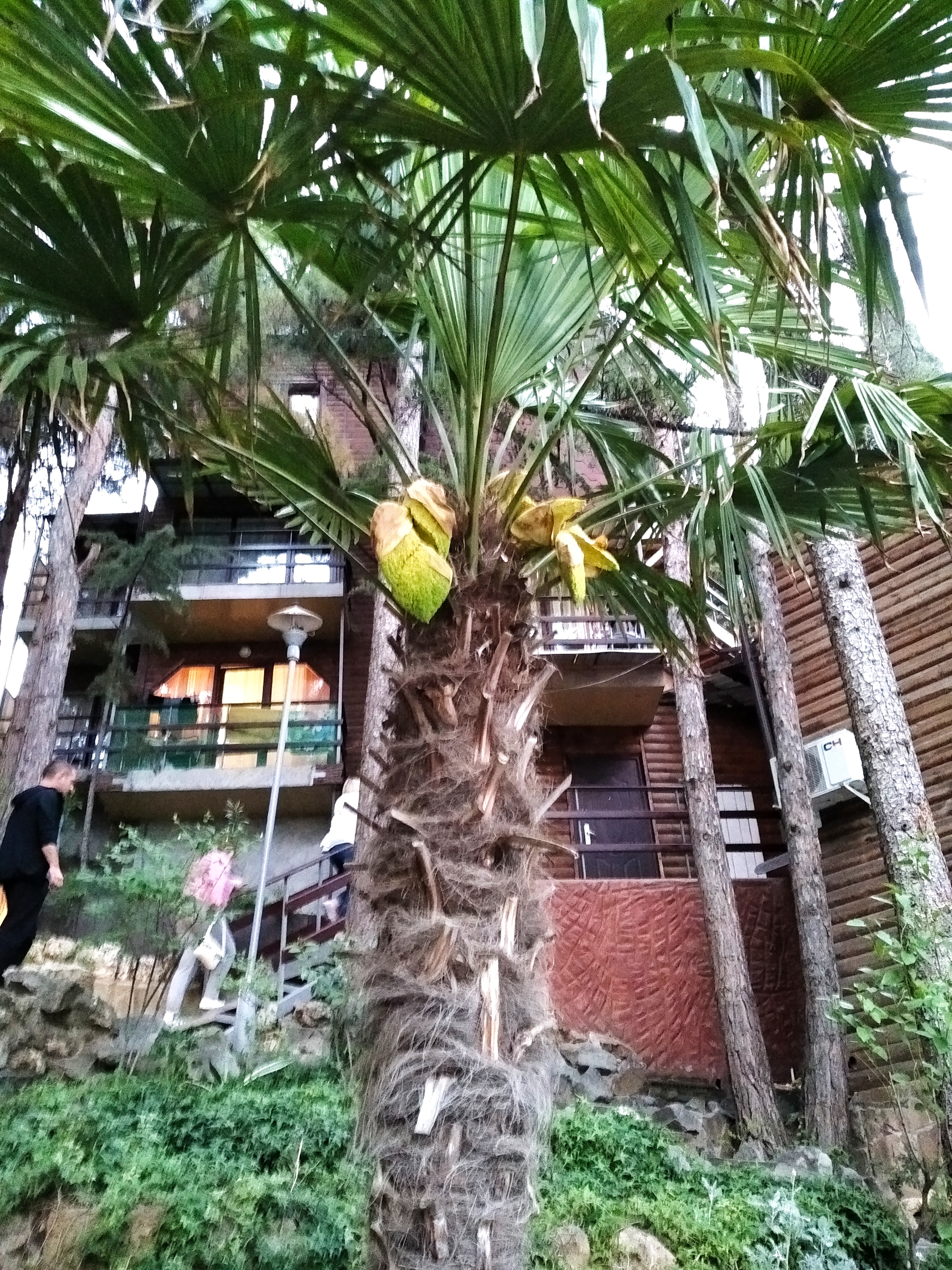 Фото Морской бриз