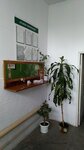 Kaskad (ulitsa imeni M.S. Uritskogo, 17А/1), home goods store