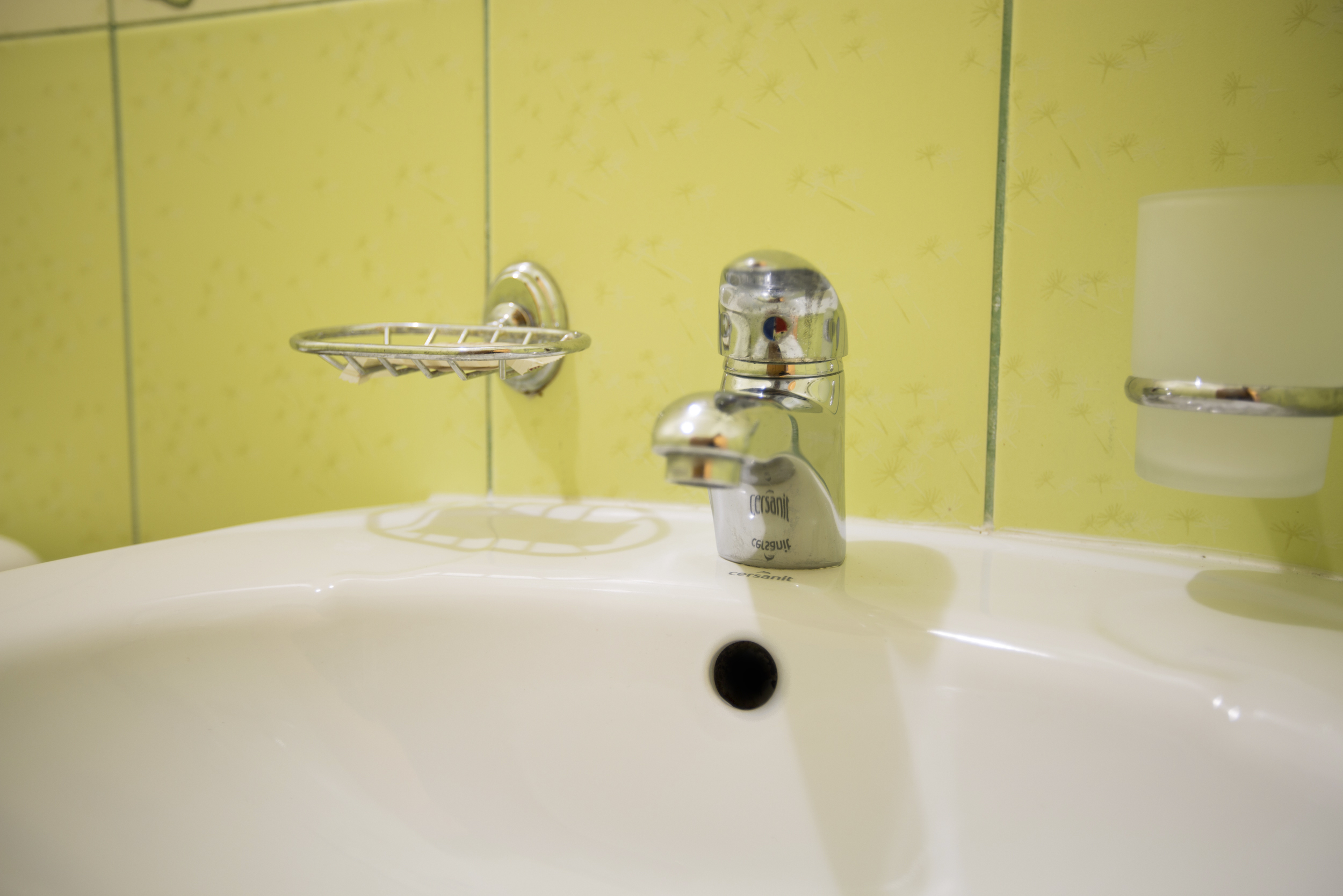 Фото Восторг