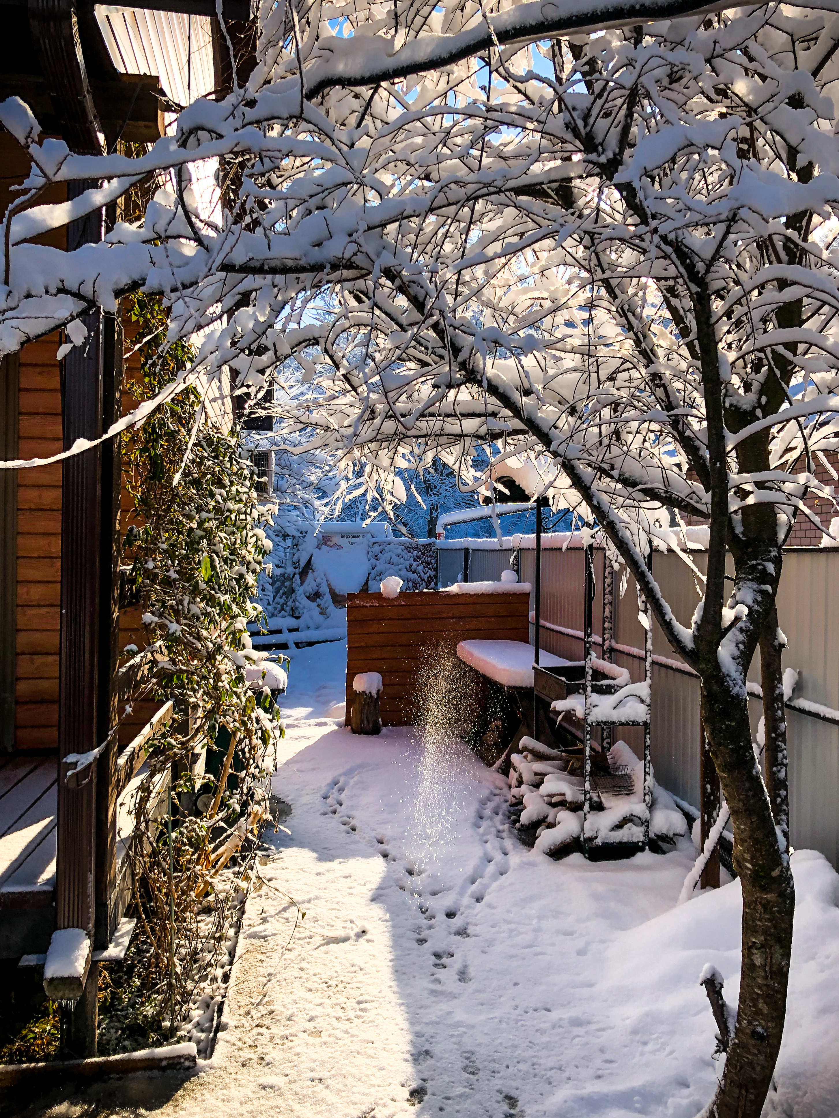 Фото Зелёный уголок