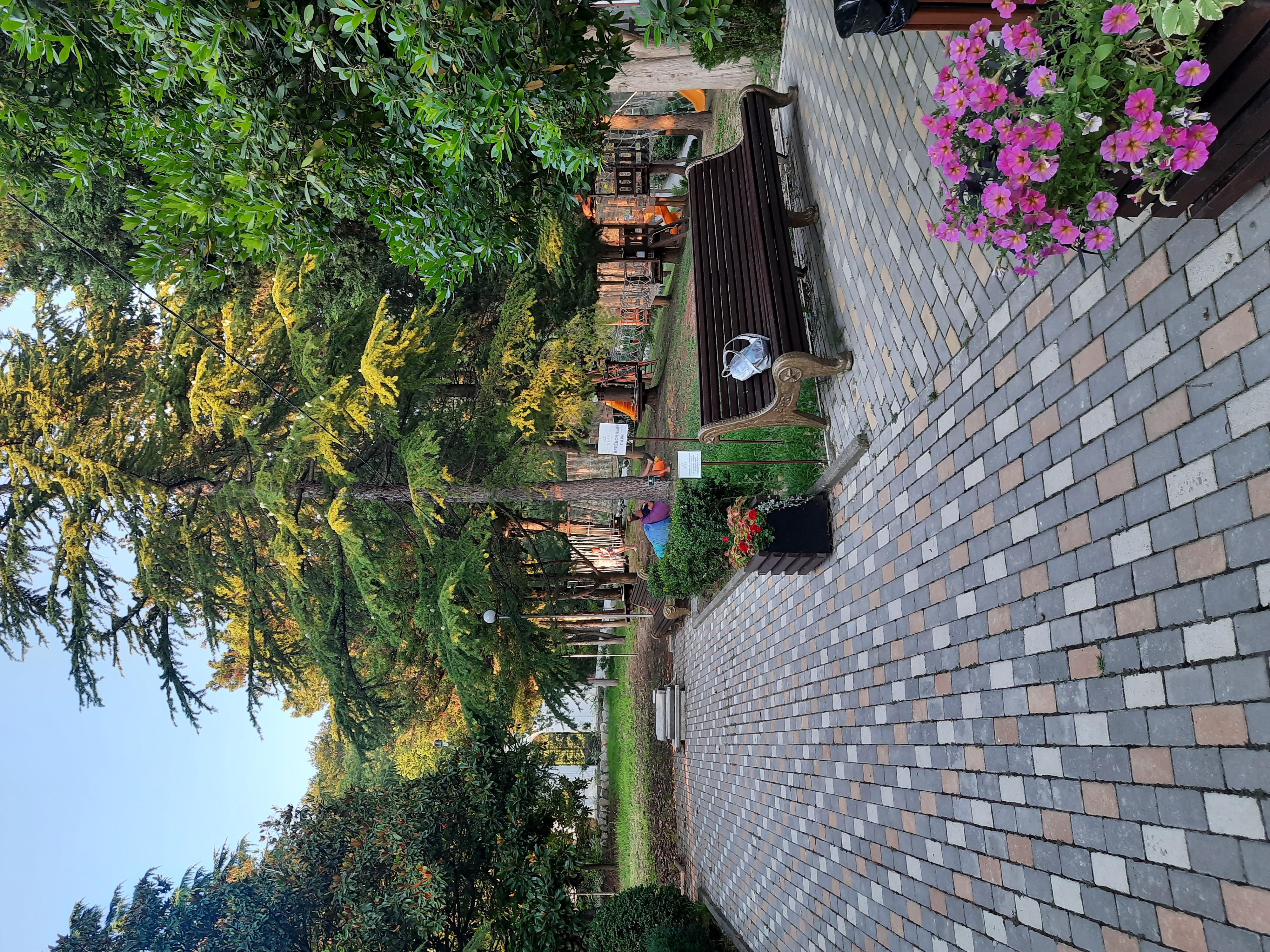 Фото Парк отель Небуг