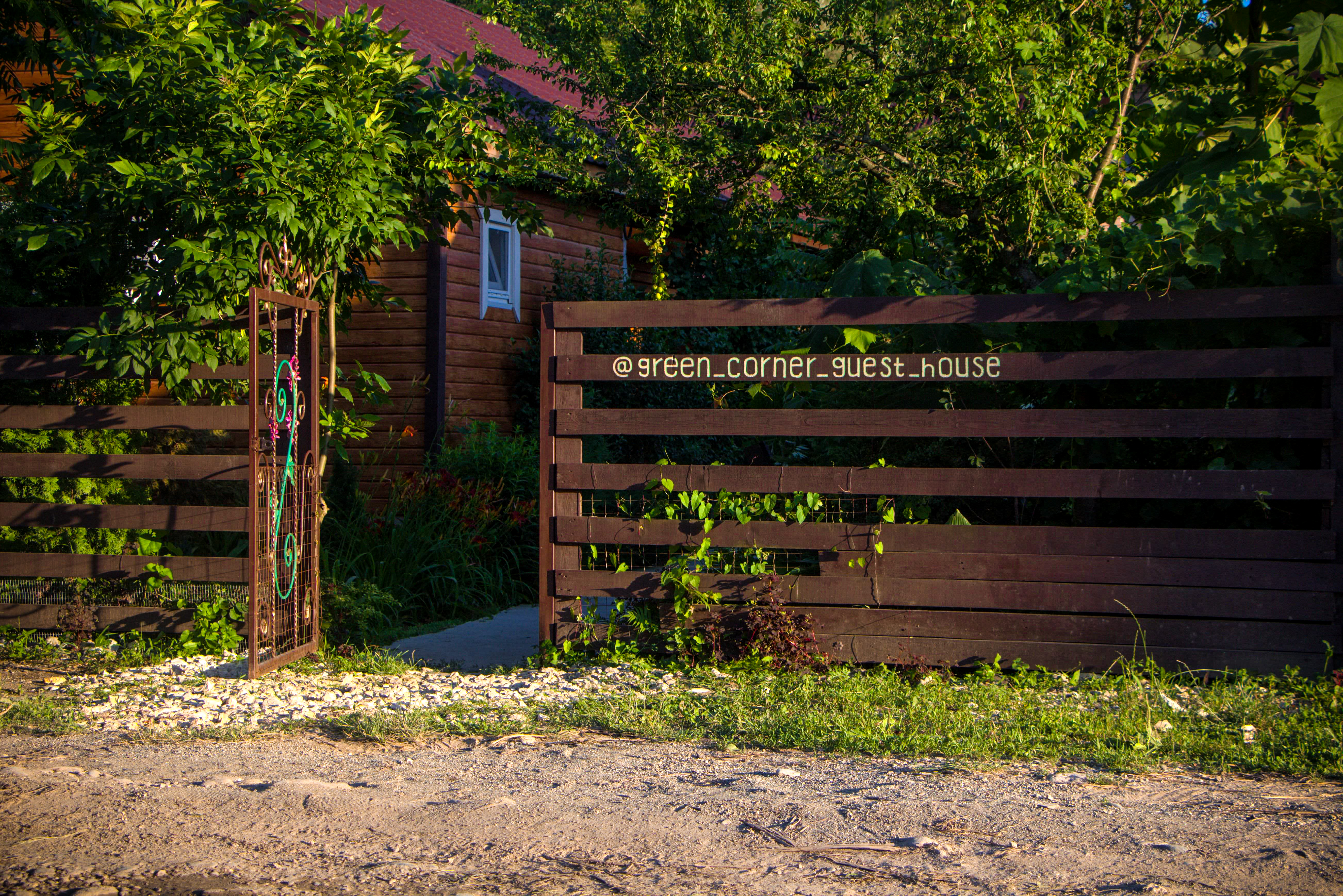 Фото Зелёный уголок