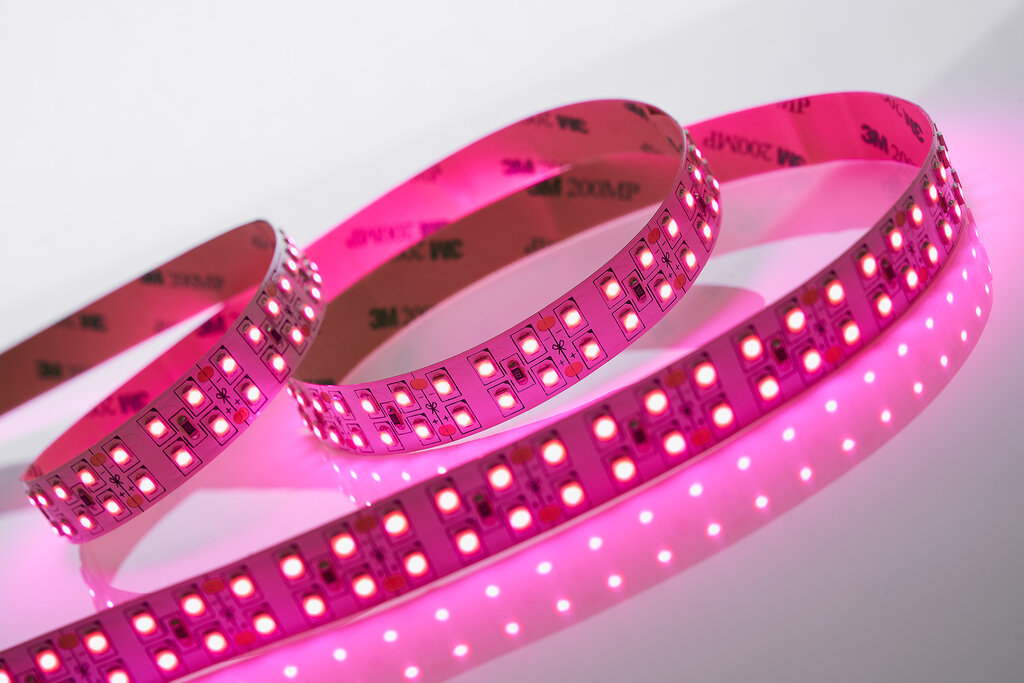 LED systems Led Crystal, Saint Petersburg, photo