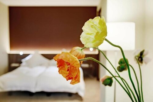 Гостиница Hotel du Commerce в Базеле