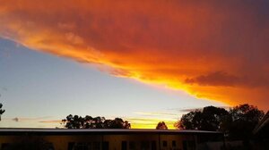 Гостиница Motel Carnarvon