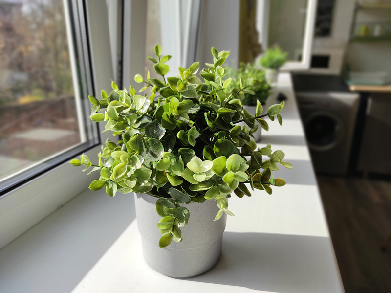 Фото Сити Хаус