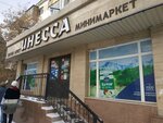 Inessa (Astana, Respýblıka dańǵyly, 6/1), grocery