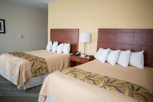 Фото Hotel Anthracite