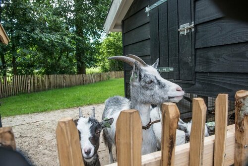 Внешний вид отеля Erfgoed Bossem в Латтроп-Брекленкампе, фото 3