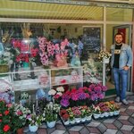 Soma Cicekci (Manisa, Soma, Hamidiye (Merkez) Mah., Şehit Ömer Halisdemir Sok., 5/C) ، توصيل باقات الزهور
