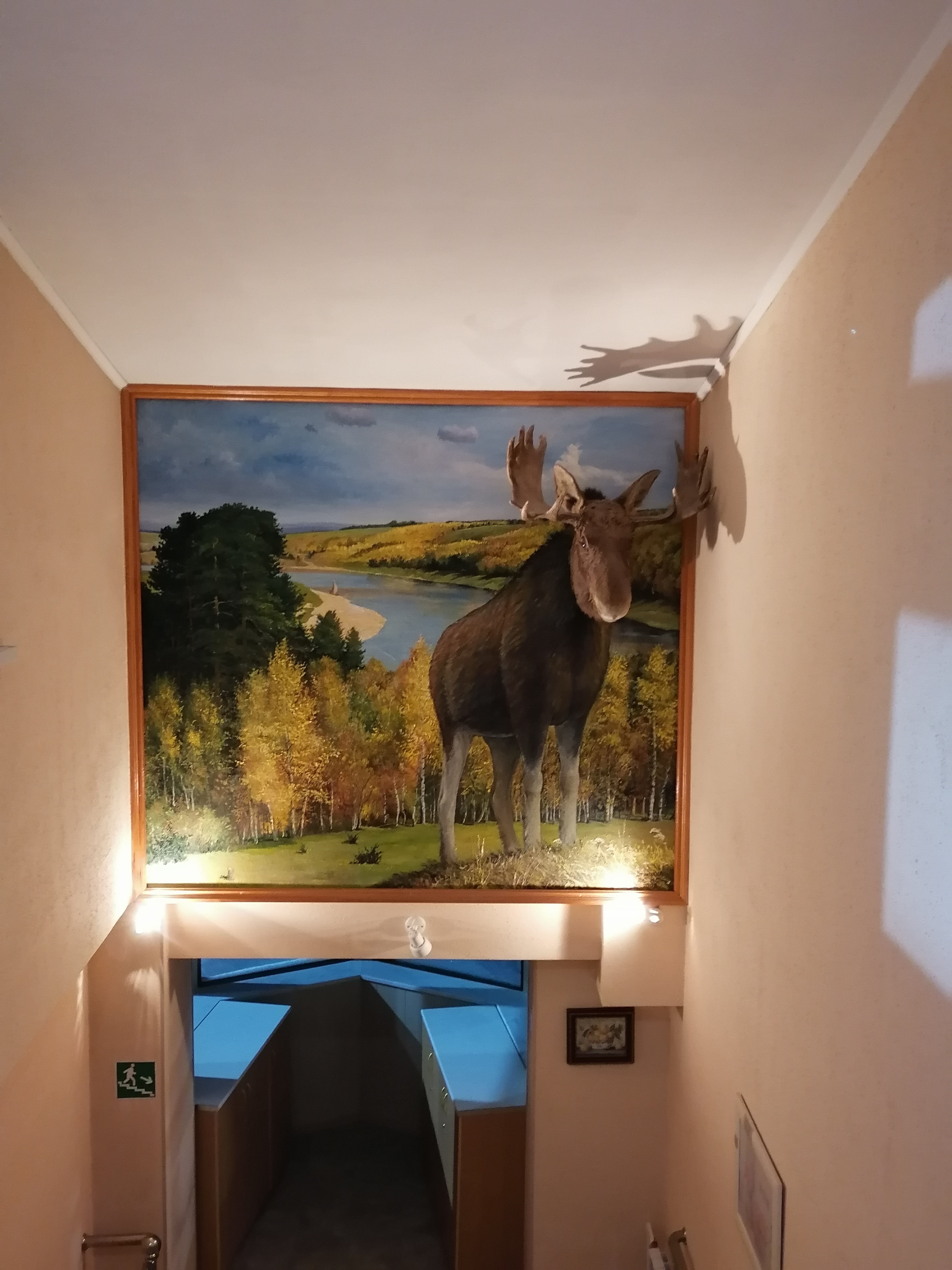 Фото Березка