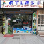 Atlas Akvaryum & Petshop (İstanbul, Sultangazi, Uğur Mumcu Mah., N Cad., 34), pet shop