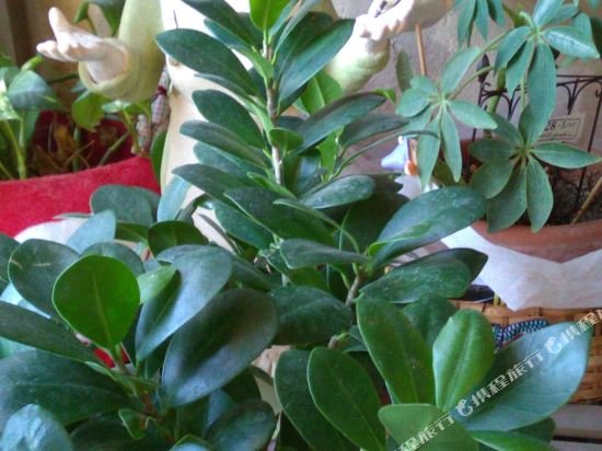 Фото Fukui Central Hotel