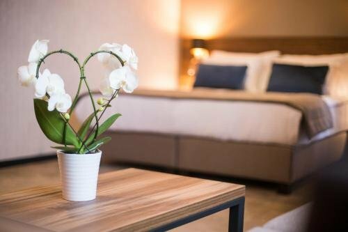 Гостиница Hotel Slatina
