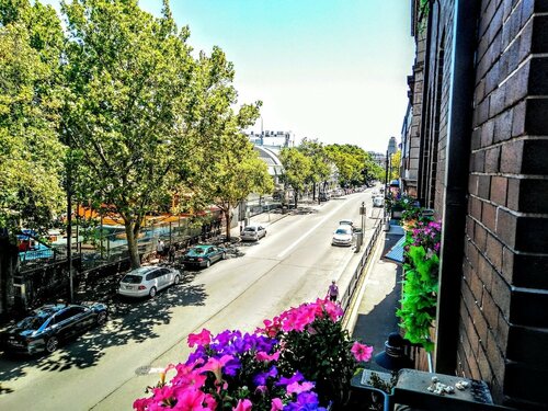 Гостиница Sydney Harbour Bed & Breakfast в Сиднее