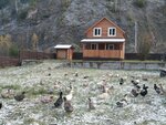ЛПХ Родная сибирь (posyolok Sliznevo, Pionerskaya ulitsa, 2) ، المشاريع الزراعية