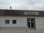 Planeta tsvetov (Mussa Jalil Avenue, 46А) ، محل زهور