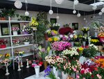 Цветочки (ул. Макаренко, 8, корп. 1), магазин цветов в Сочи