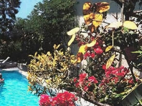 Фото Vila Vicencia