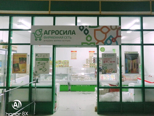Grocery Agrosila, Kazan, photo