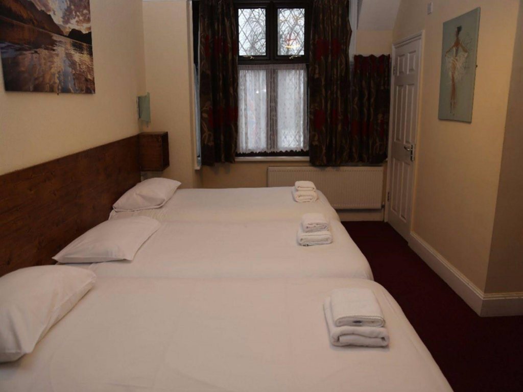 Фото Casuarina Tree