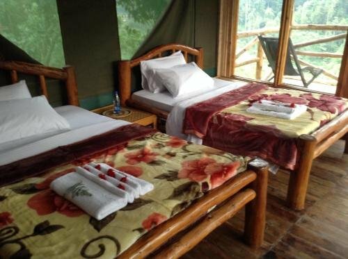 Hotel Rushaga Gorilla Camp, Earth, photo