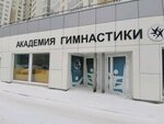 Academy of gymnastiks (Soboleva Street, 19), sports club