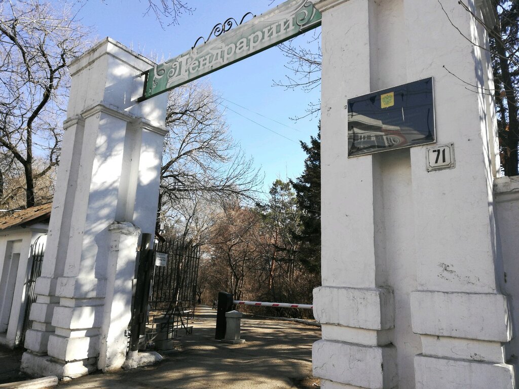 Дендрарий хабаровск фото хабаровский волочаевская протяженность длина Панорама: Дендрарий Дальневосточного научно-исследовательского института лесного