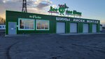 Зелёная шина (Shafirovskiy Avenue, 21А), tire service