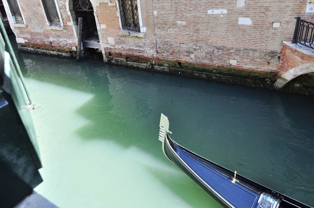 Фото San Marco Suite Apartment