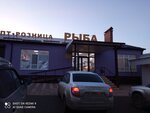 Рыба (ул. Веткаловой, 43, Элиста), рыба и морепродукты в Элисте