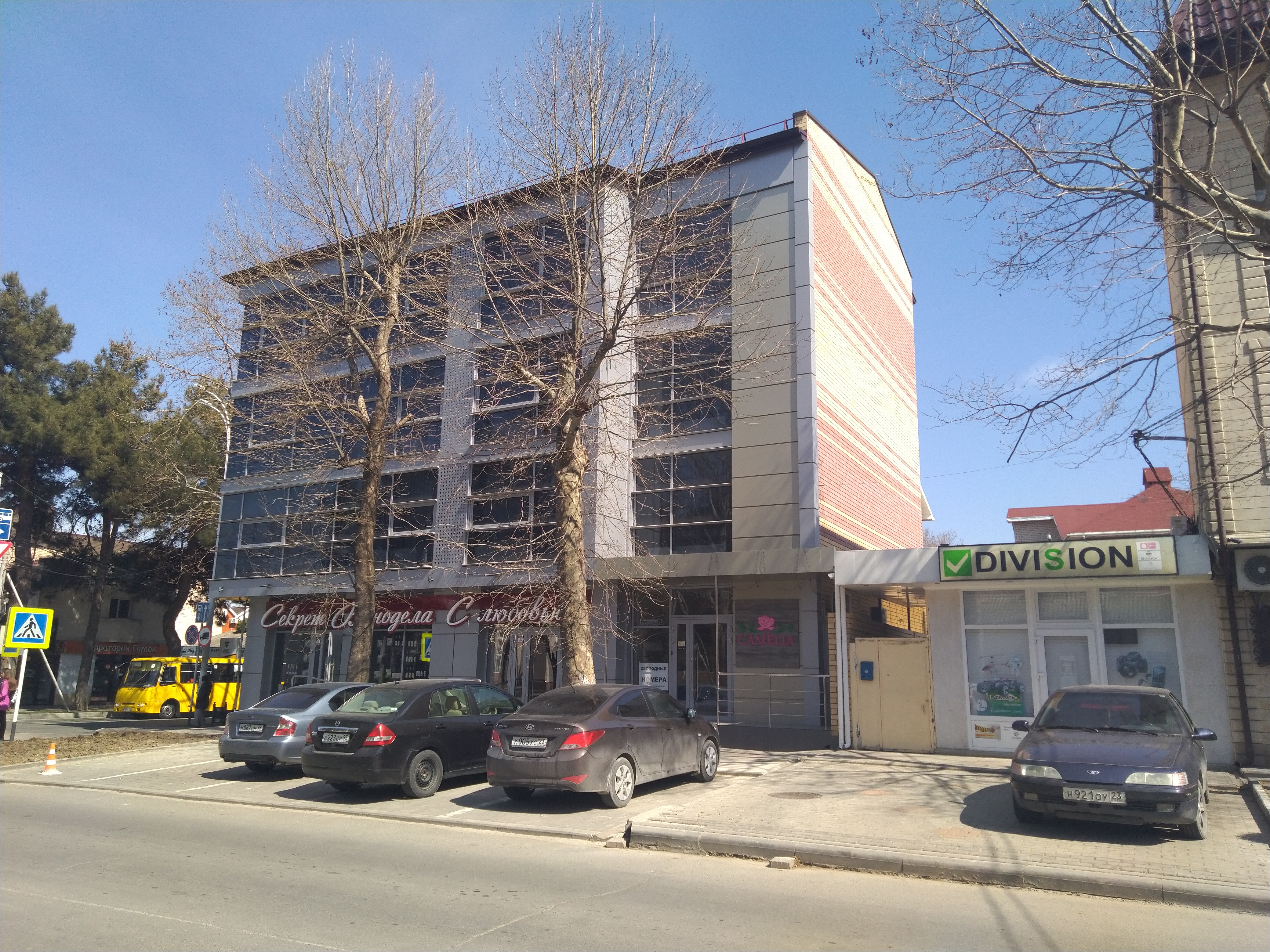 Фото Камелия