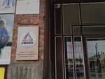 Cboss (ulitsa Chekhova, 98А), it company
