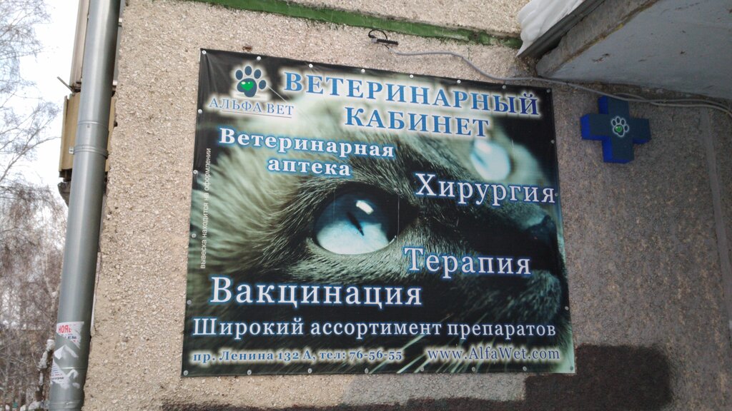 Альфа вет просп ленина 132а фото