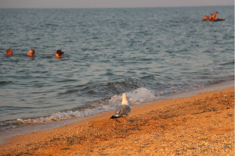 Фото Солнечный
