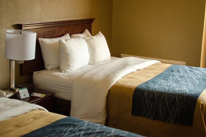 Фото Comfort Inn Atlanta Downtown South