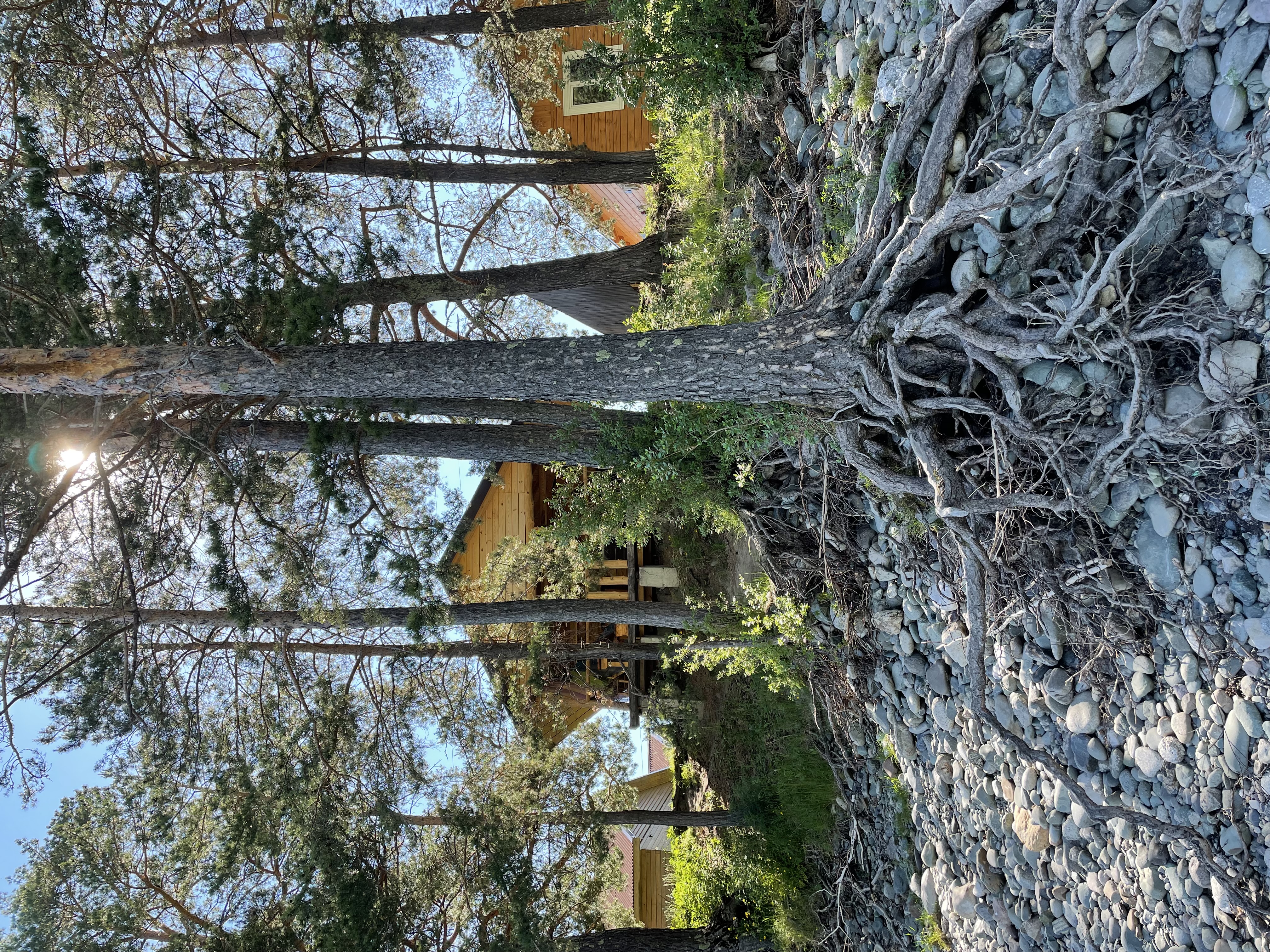 Фото Зеленые холмы