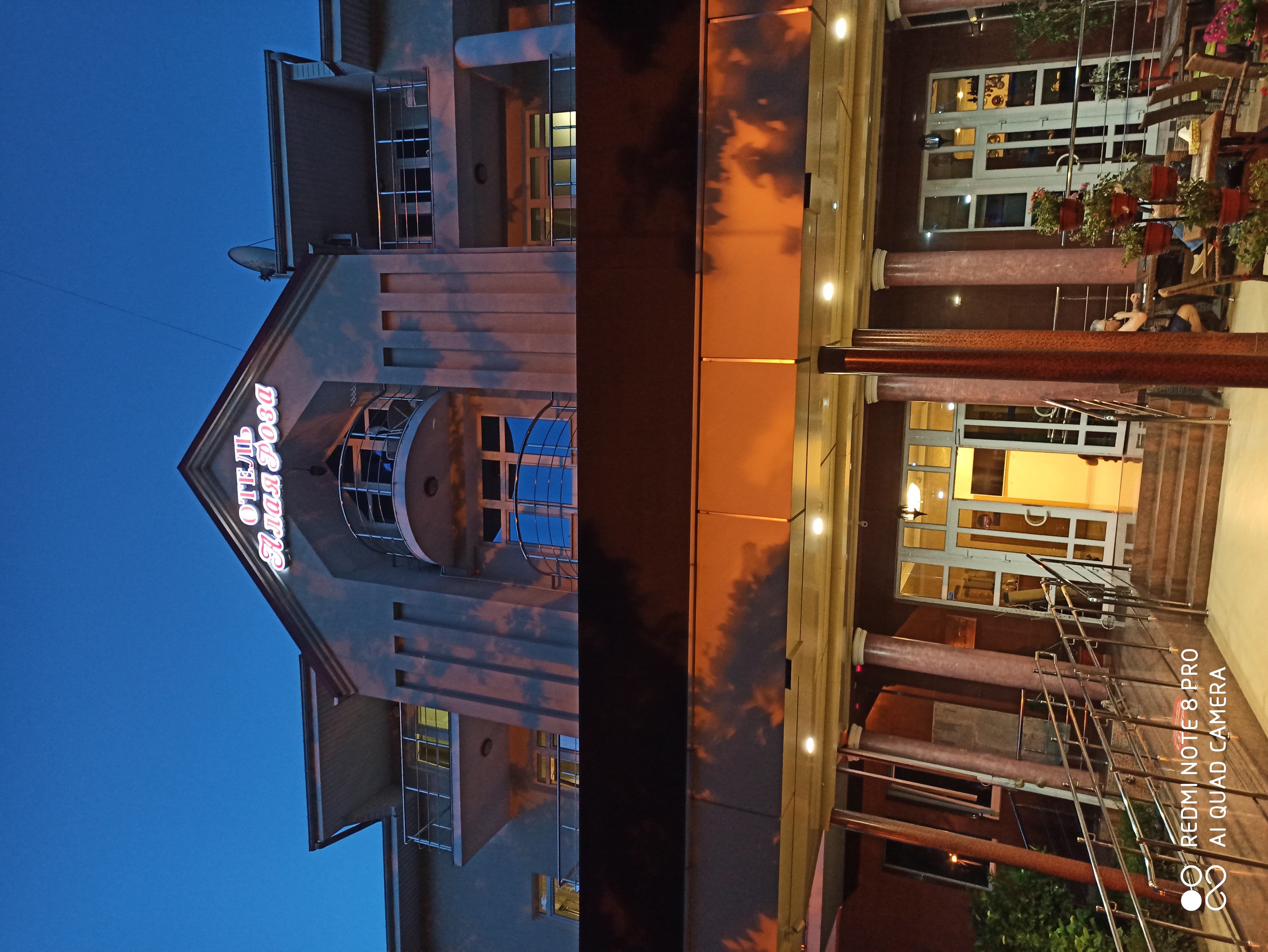 Фото Алая Роза