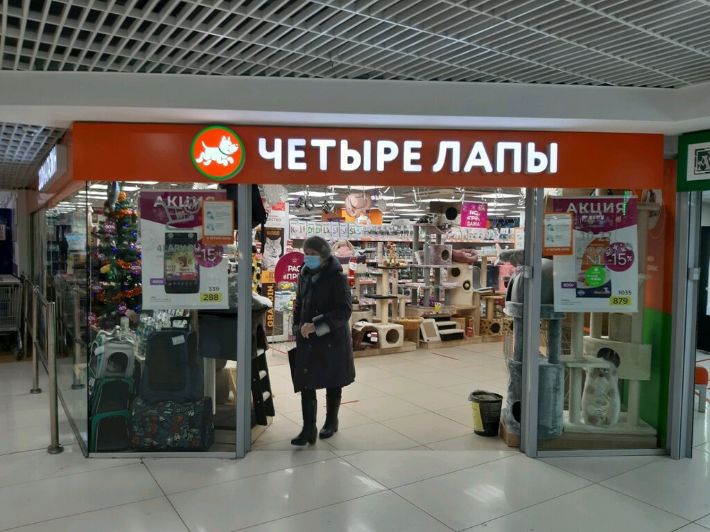 Четыре лапы ул карла маркса 6 фото